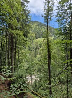 Photo de Hans ten Brink le long du parcours