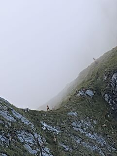 Foto von Rene 16 entlang der Tour