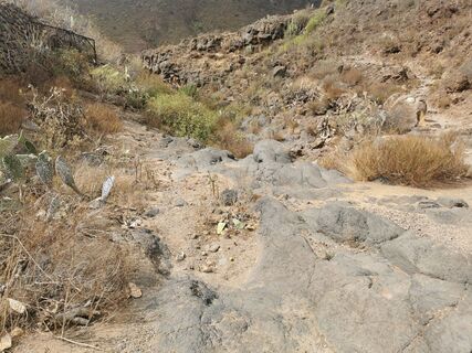 Photo de Andreas le long du parcours