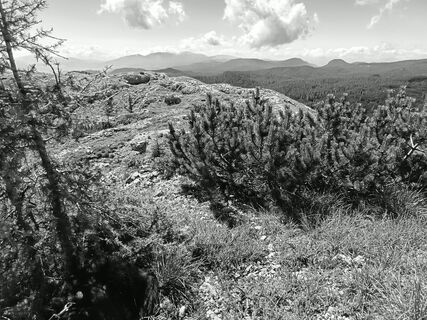 Fotografija s spletne strani Luca Zagallo na poti