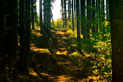 Wandern in Ankum