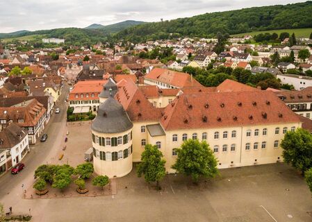Schloss Bad Bergzabern