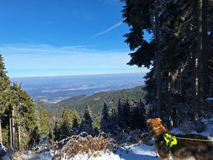 Fotografie z susanne groegor na trase