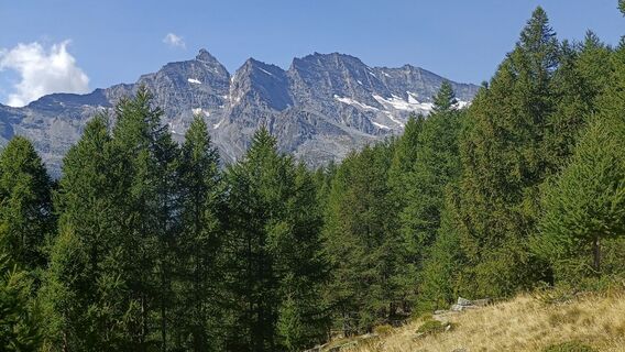 Foto de Maurizio Dell'acqua a lo largo del recorrido