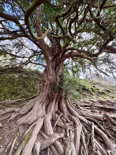 Fotografija s spletne strani berg-wanderer na poti
