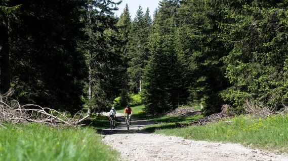 Radweg zum Brunschkopf