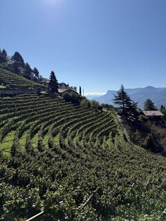 Foto von Thorsten Janotta entlang der Tour
