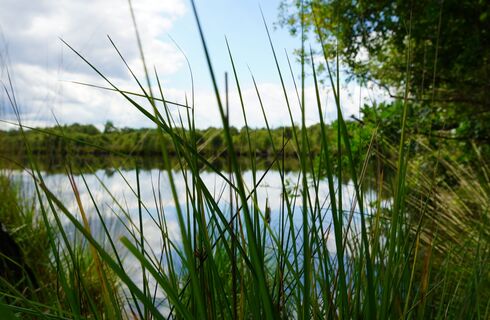 Moorsee im Hambeger Moor