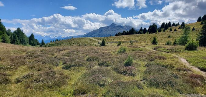 Foto von DHHille entlang der Tour
