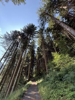 Photo de Nicola Ronchetti le long du parcours