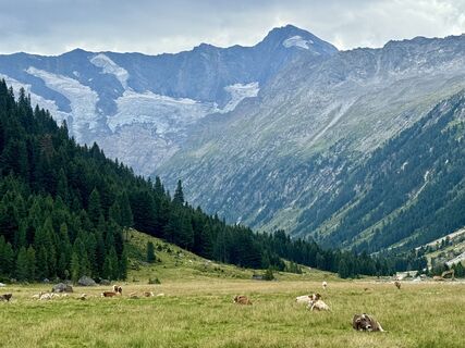Foto von Peter Vogt entlang der Tour