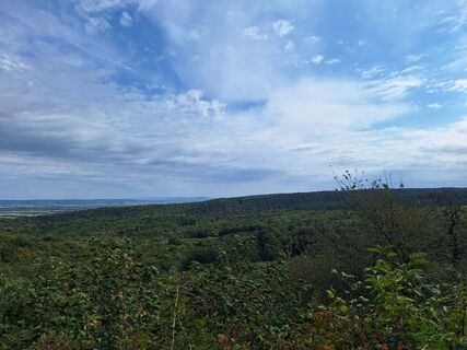 Fotografia z Marion Masilko na trase
