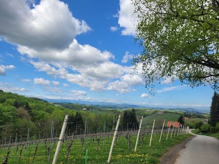 Photo de Juliane Jarke le long du parcours