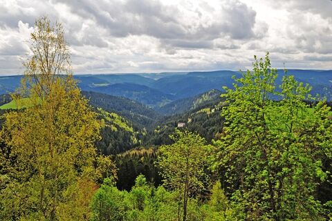 Blick vom Teisenkopfturm Richtung Süden