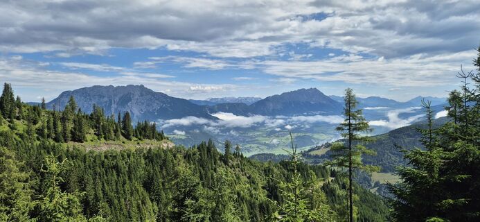 Fotografija s spletne strani Benny Oehme na poti