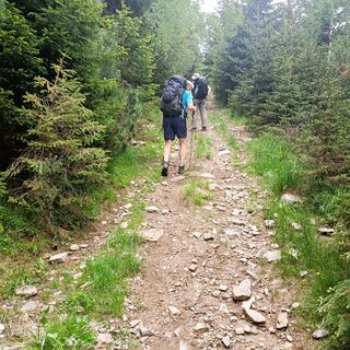 Bis zum Bear Pass, Iliina-Tal