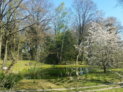 Dorfteich in Aljarn an der K2 im Frühling