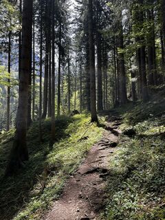 Photo de Jürgen Clement le long du parcours