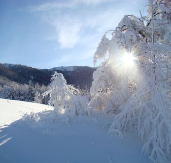 In Visperterminen treffen Sie im Winter auf unberührte Natur