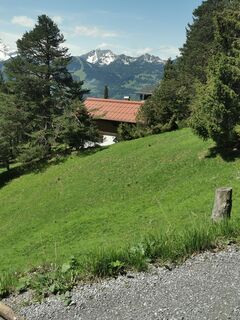 Foto von Waldläufer entlang der Tour