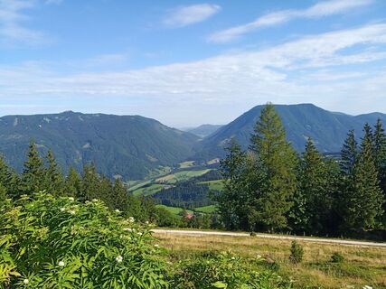 Fotografie de la Wanderkatze de-a lungul turului