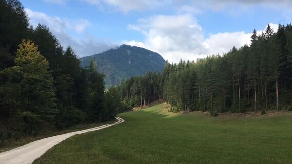 Fotografia z Lomalinda na trase