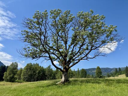Fotó a René Kozlowski honlapról a túra során