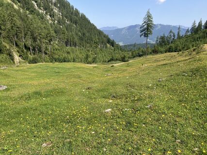 Fotografia z Johann Holzinger na trase