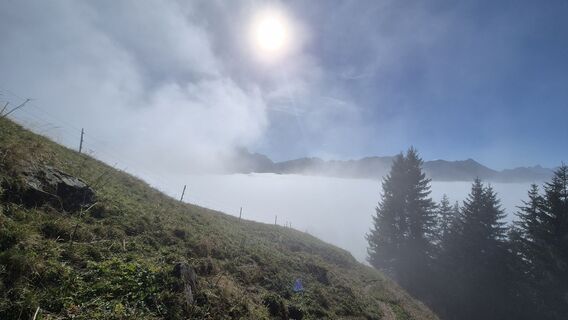 Photo de Nicole Hesse le long du parcours