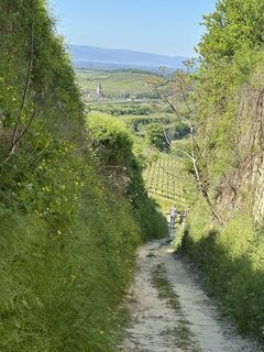 Foto von Licki entlang der Tour