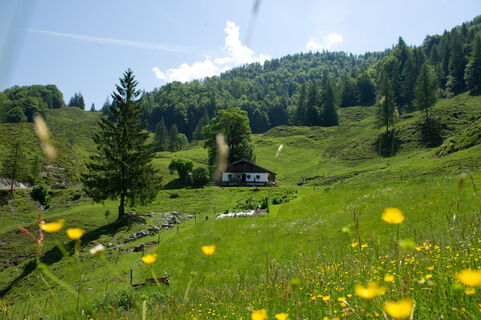 0047-13 ©FranzGERDL _REG-St.Johann 6653.jpg