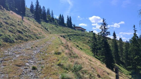 Fotografija s spletne strani bacherling na poti
