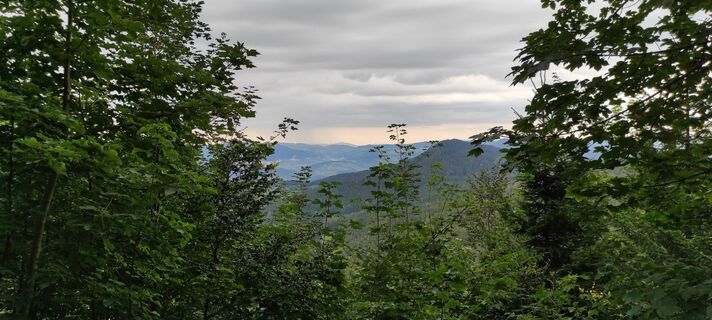 Fotografija s spletne strani Wolfgang Kleewein na poti