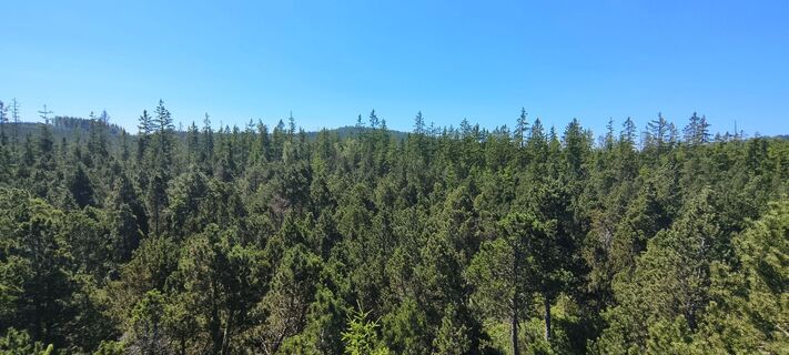 Fotografia z Sonja Enzenhofer na trase