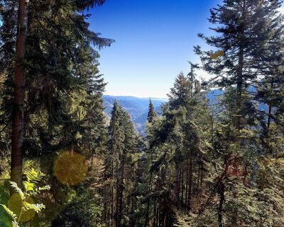 Die Aussicht vom Beilfelsen