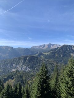 Fotografija s spletne strani Elisabeth Wiesmayr na poti