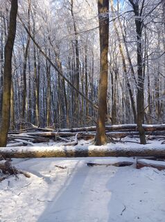 Foto von Mário plesnik entlang der Tour
