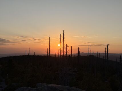 Foto von Natur_erleben_dg entlang der Tour