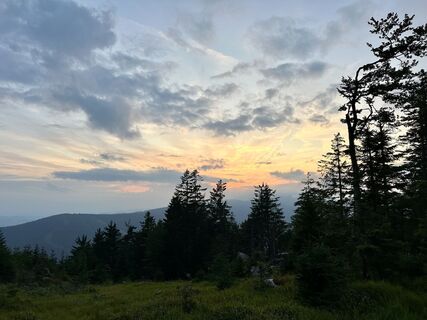 Foto von Dani Geiger / Natur_erleben_dg entlang der Tour