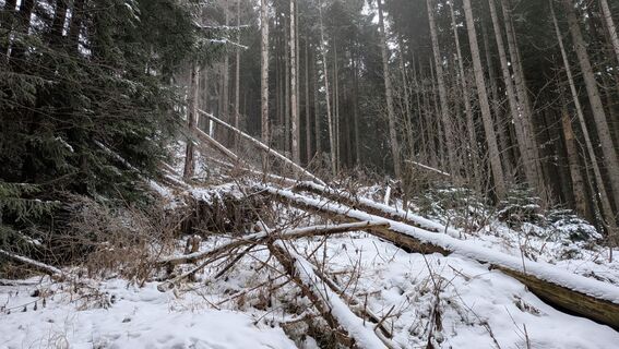 Foto de Johannes Zaunrith (Xinoi) a lo largo del recorrido