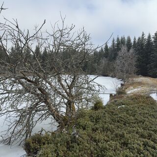 Fotografia z Steffen Kiesel na trase