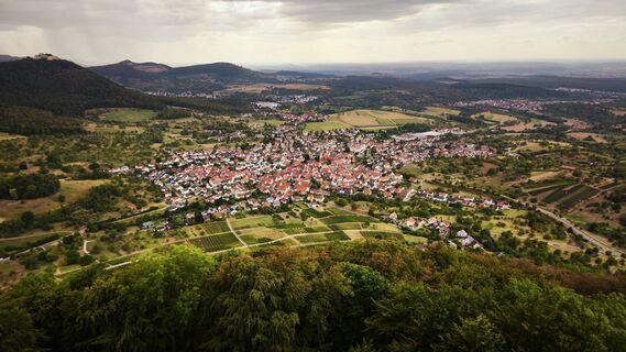 Photo de Frederick Müller le long du parcours