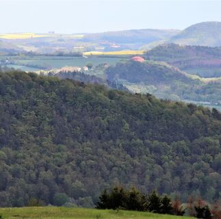 Aussicht vom P25 Kleinalmerode