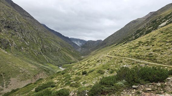 Fotografija s spletne strani Tom na poti
