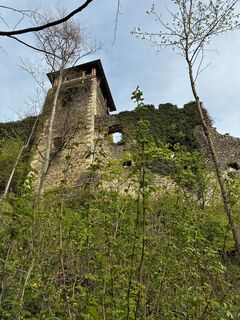 Foto von Robert.Unterlercher entlang der Tour