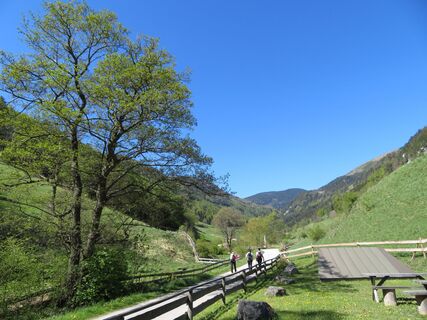 Rohrbachgraben -- Bodenwiese auf der Gahns