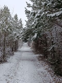 Fotografia z Ralf Reiniger na trase