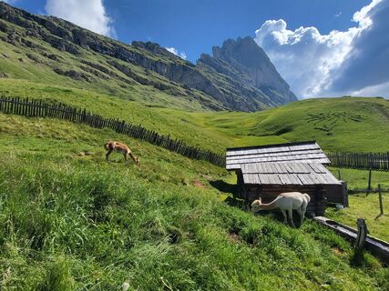 Photo de Judith Mairhofer le long du parcours