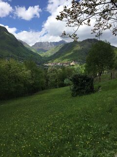 Campi