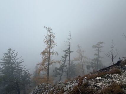 Traunstein - Naturfreunde rauf - Mairalm runter